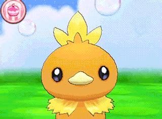 torchic smogon|torchic hidden ability.